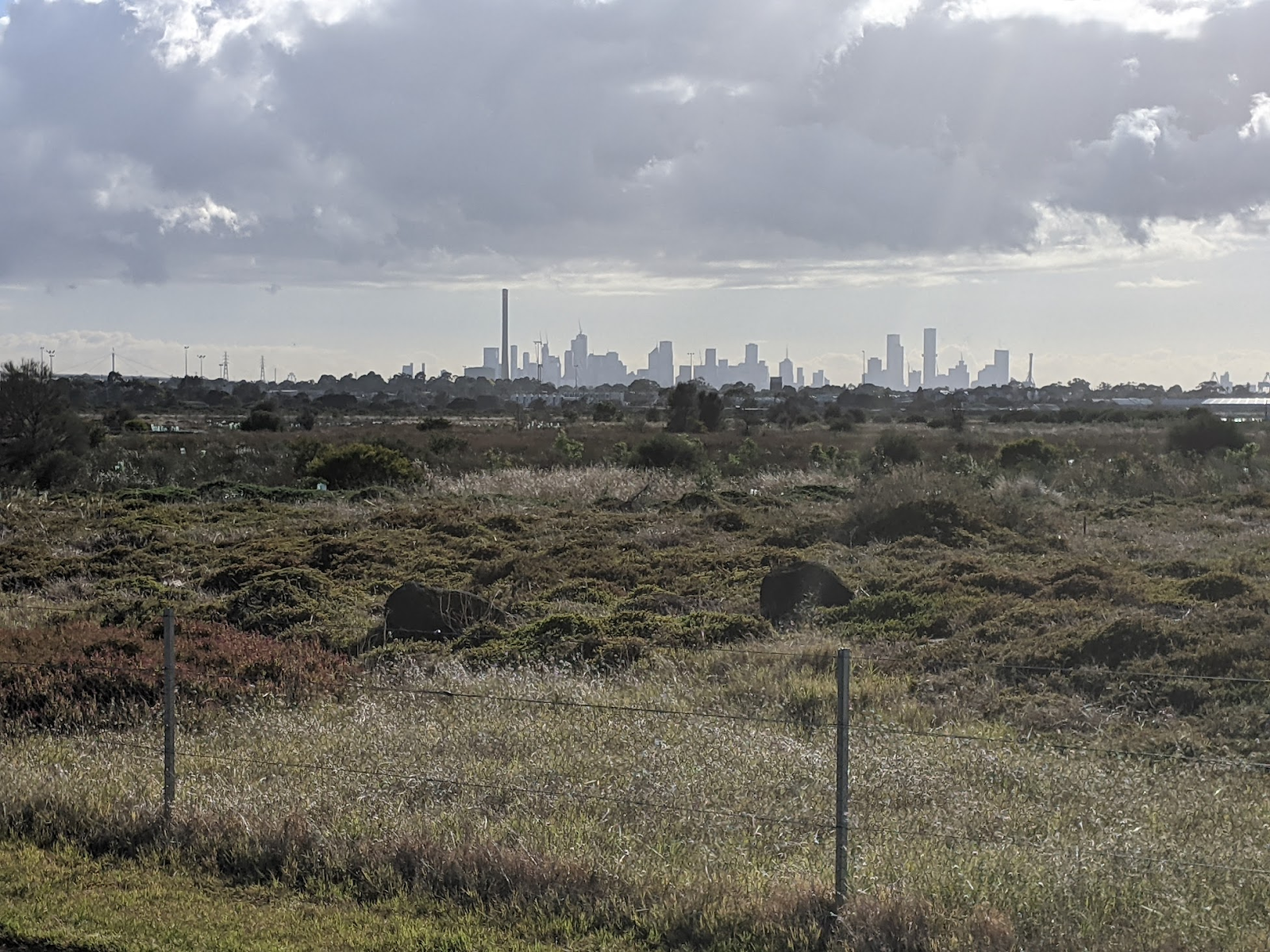 View of Melbourne from Altona Wetlands