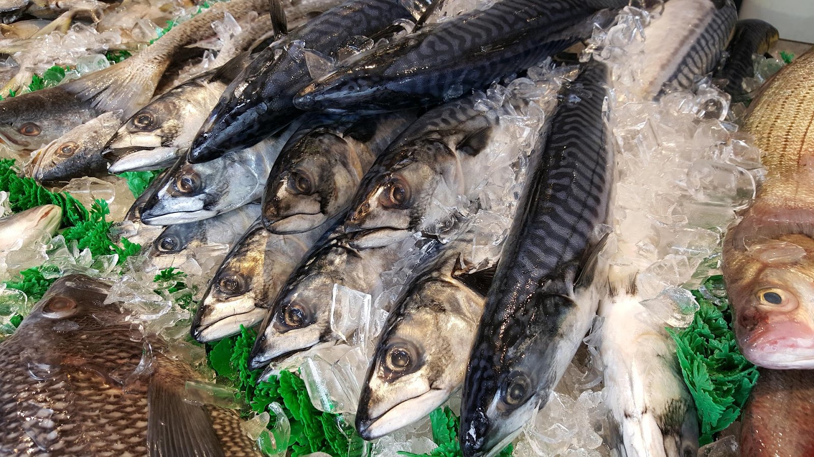 鯖のカロリーを徹底解説 ダイエットで失敗したくない方は必見 京都名物 鯖寿司 棒寿司のお取り寄せ 朝日屋 公式サイト