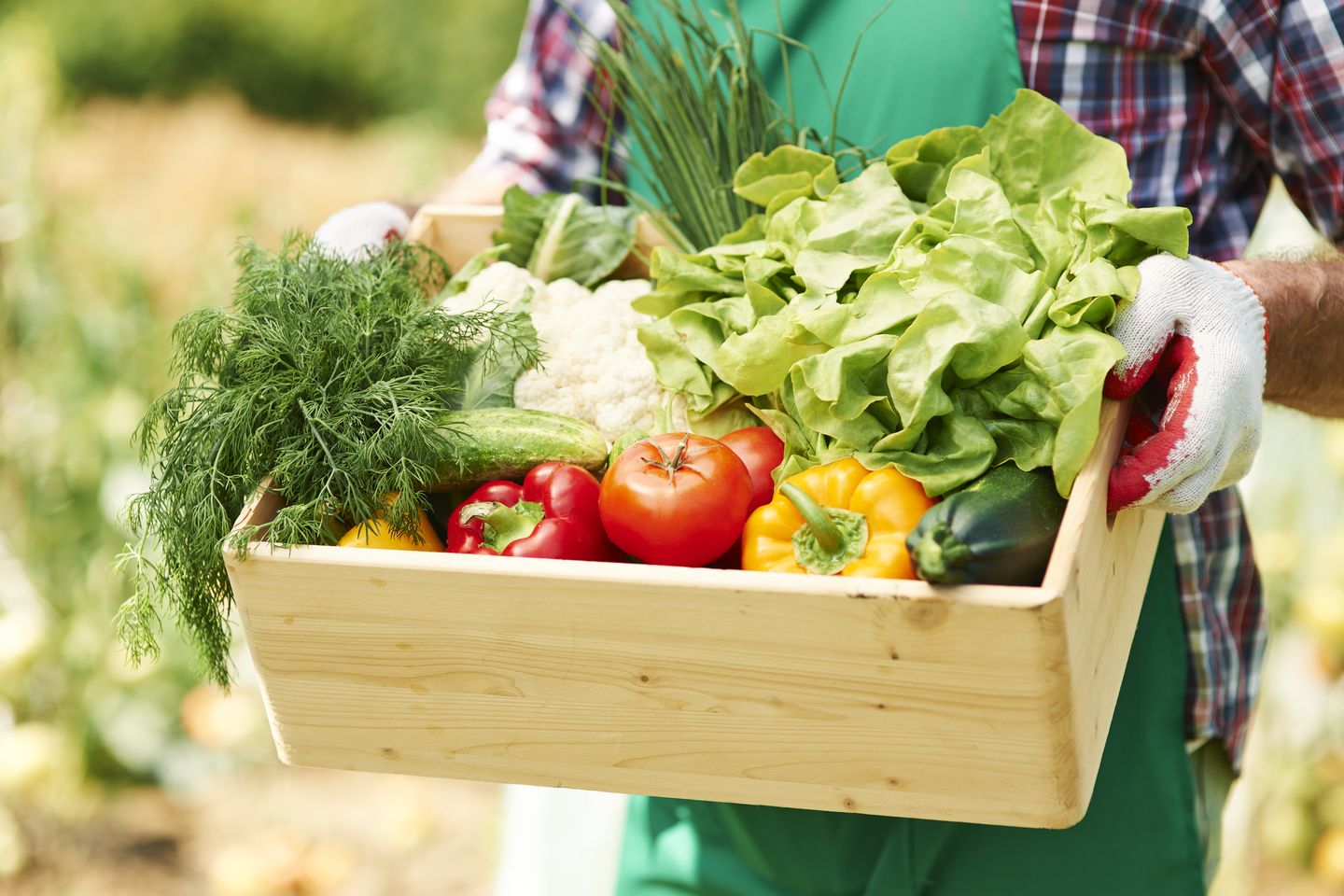 Sayur dan buah organik adalah salah satu contoh bisnis ramah lingkungan.