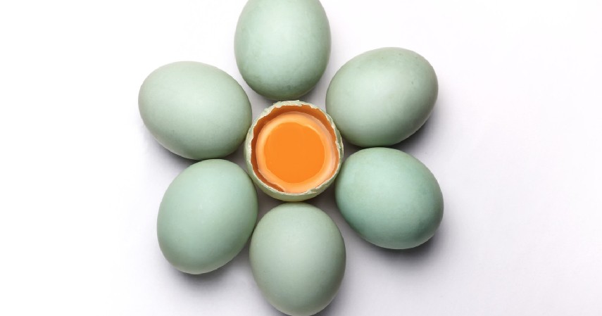 Cuci telur bebek hingga bersih - Cara Membuat Telur Asin dan Peluang Usahanya