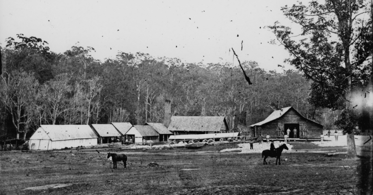 interesting facts about Tarragindi