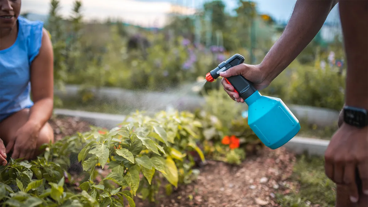 Make your insecticidal soap for pepper plants