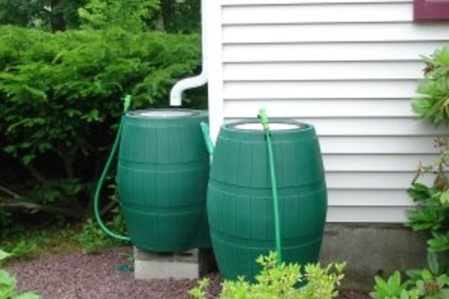 rain barrel green