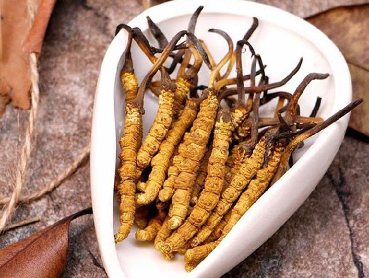 thảo dược tăng cường sinh lý nam