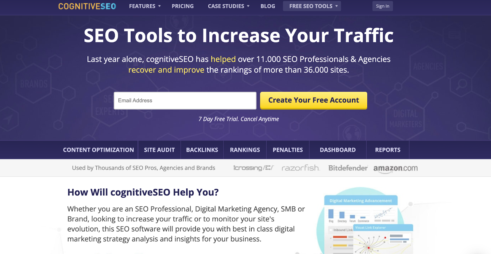 CognitiveSEO Seo Tool