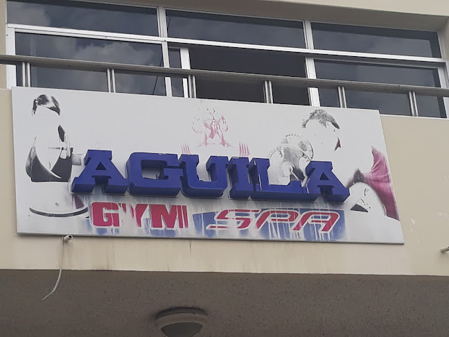 Aguila - Cuenca