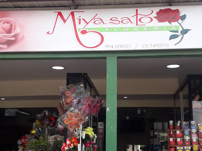 Avenida La Fontana, 1103 La Molina, Cercado de Lima 15024, Perú