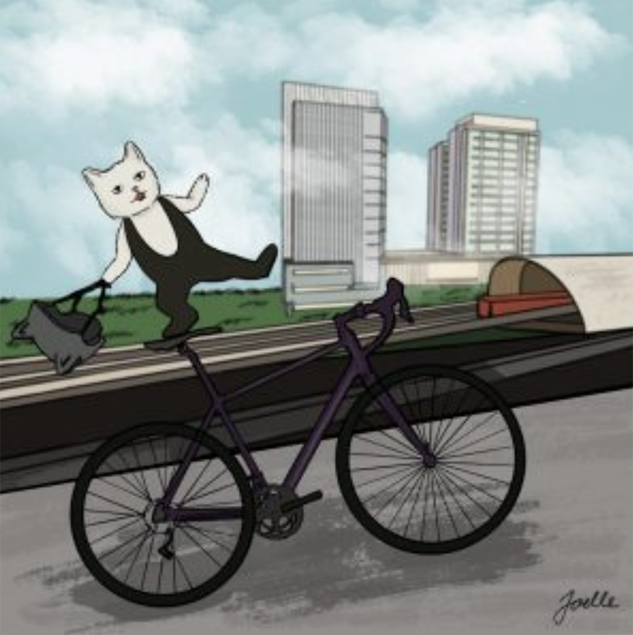 Image: Boris, sang kucing trader yang suka gowes