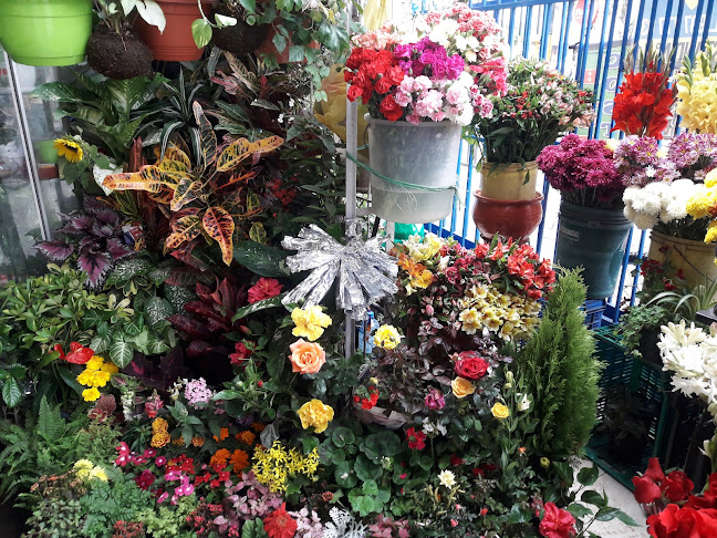 Opiniones de Julia en Lima - Floristería