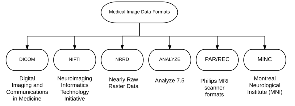 An overview of medical data formats