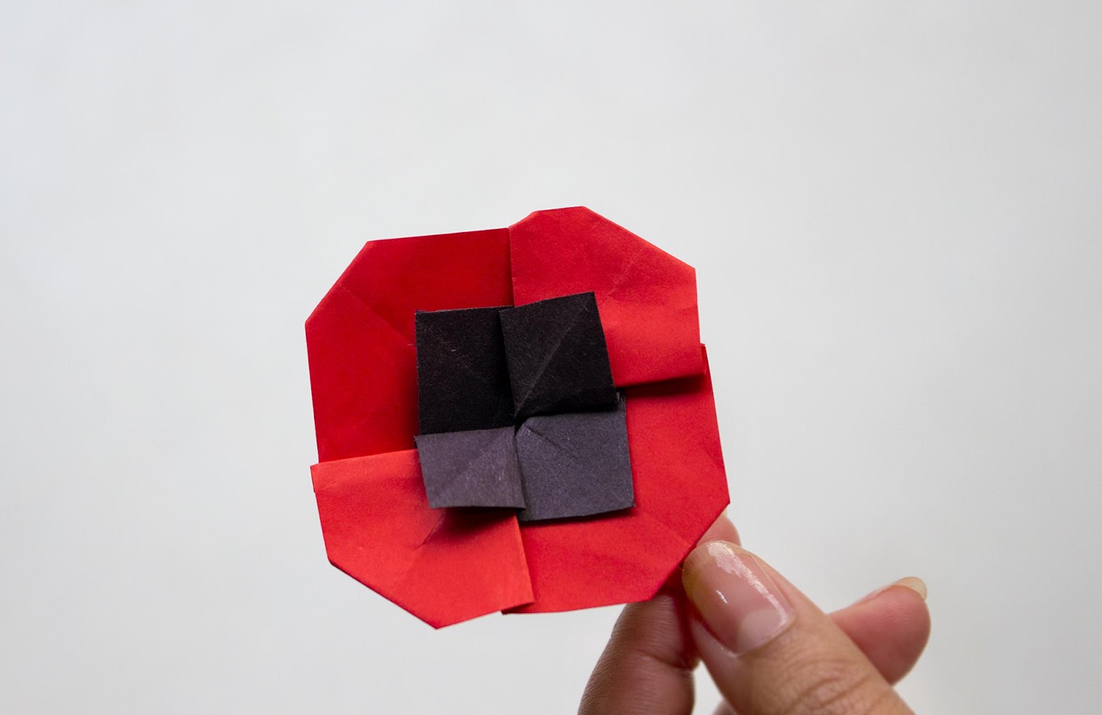 Poppy origami flower with squared petals