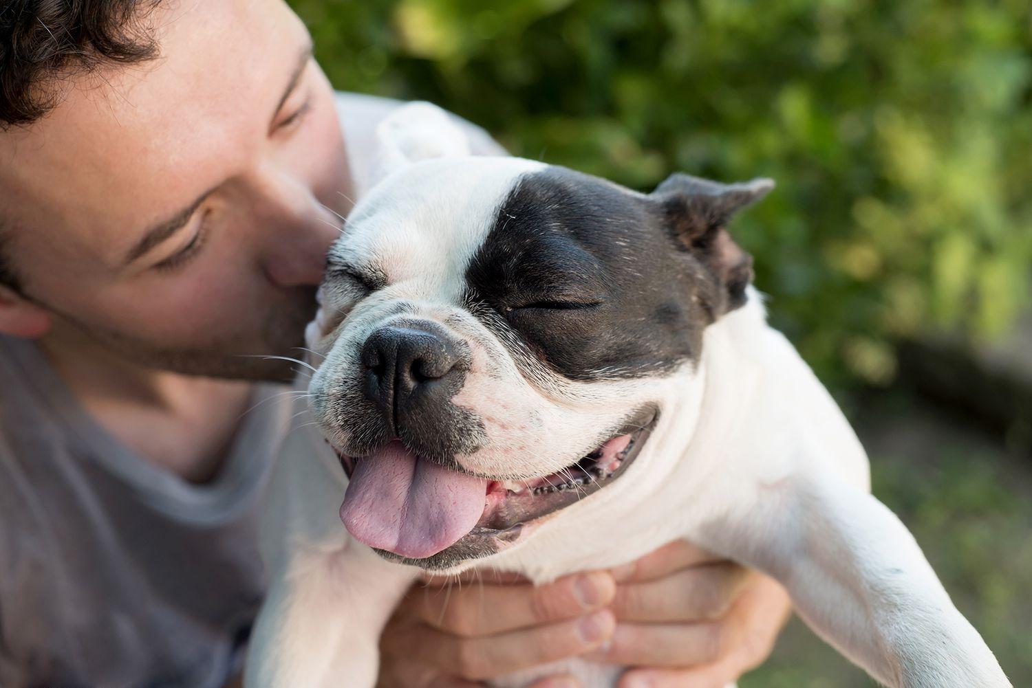 Dog Cognition Expert Says Dogs Understand How Much You Love Them