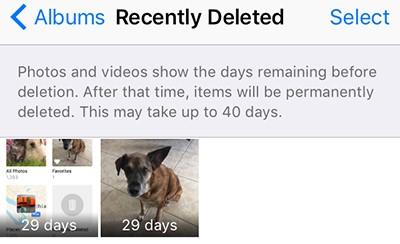the list of deleted photos or albums will appear