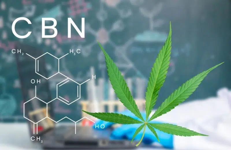 Structure chimique du CBN, feuille de cannabis