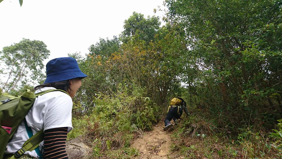 搞乜東東 花瓶石 欣澳 大陰頂 花瓶頂 花瓶石 青馬收費廣場 行山執垃圾