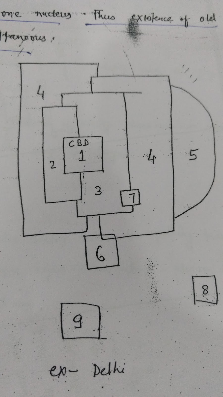 multi nuclei model.jpg