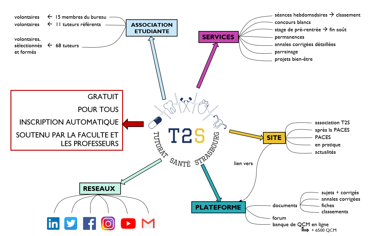 Médecine : Quelles ressources gratuites pour apprendre l'anatomie et la  physiologie humaines en ligne ?