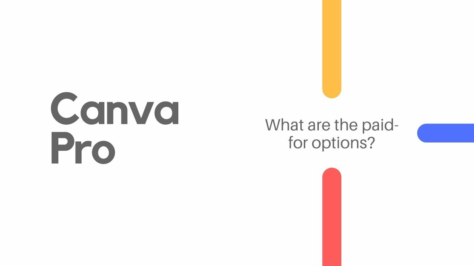 canva pro offers