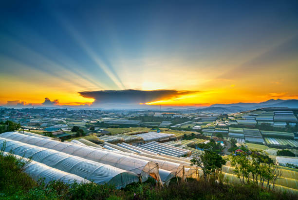 anh hoa da lat