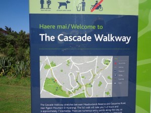Image result for cascades  walkway auckland