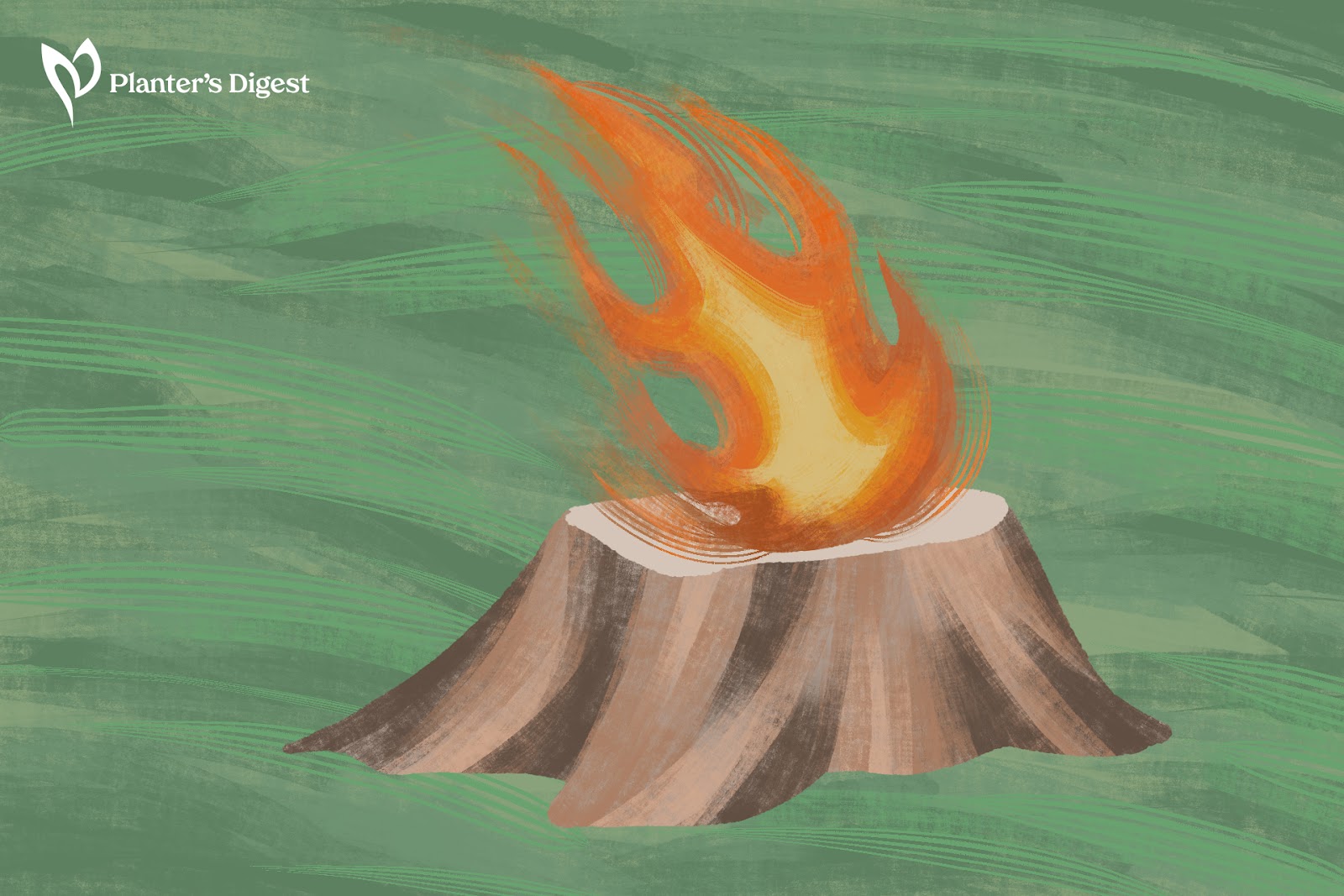 Burning
