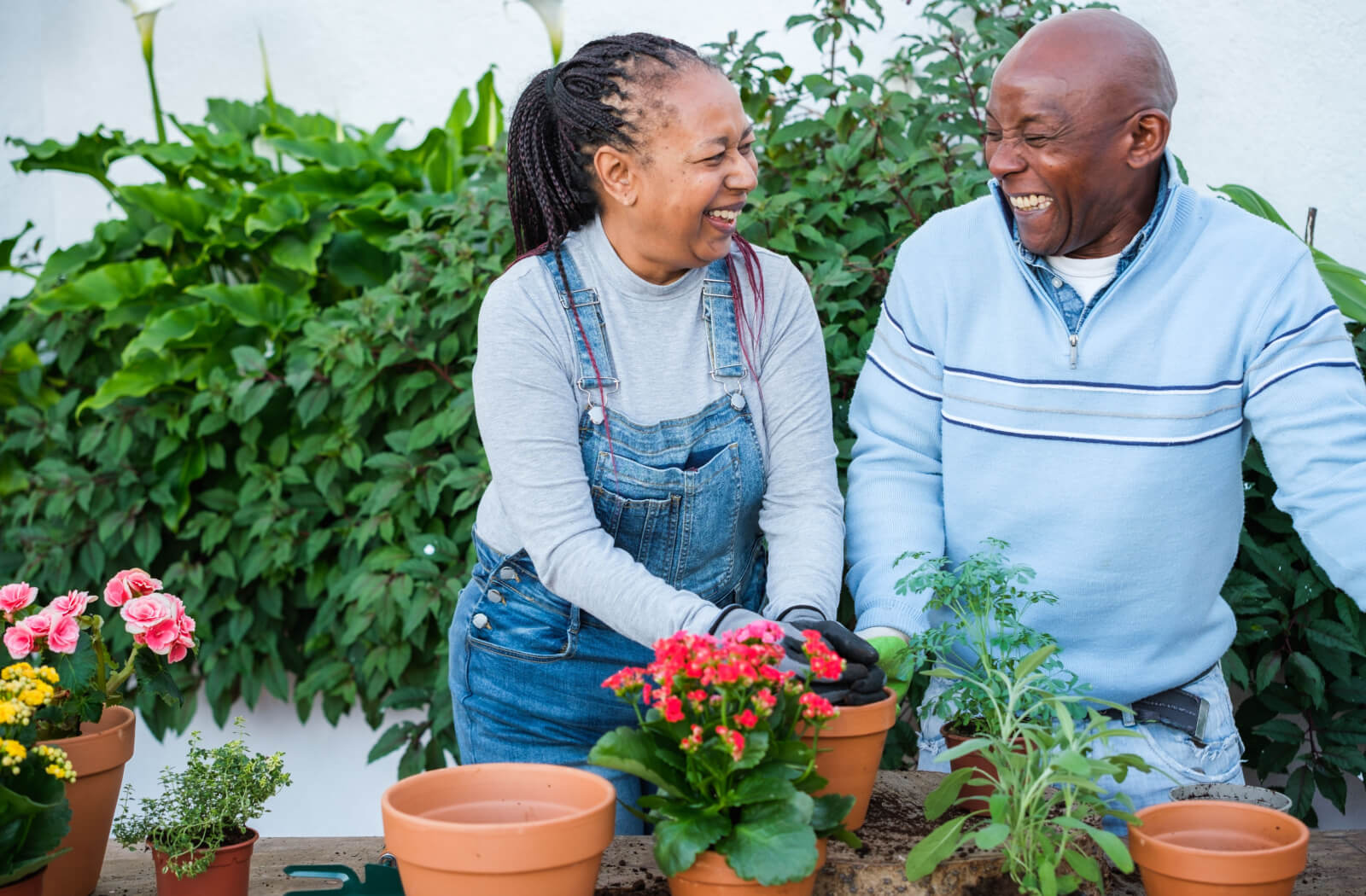 A senior man and a senior woman smiling while gardening outside.