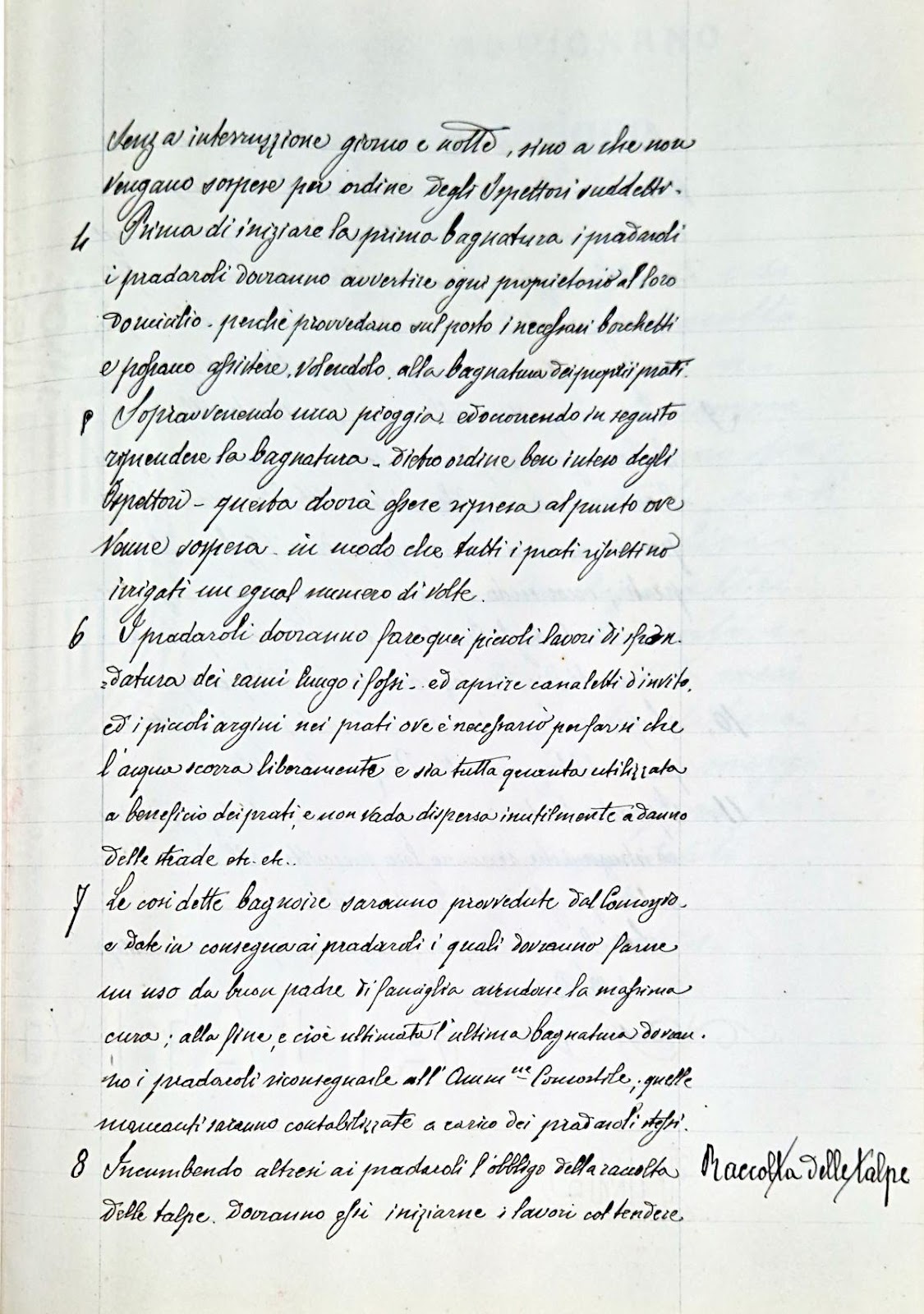 Immagine che contiene testo, lettera, carta, calligrafia

Descrizione generata automaticamente