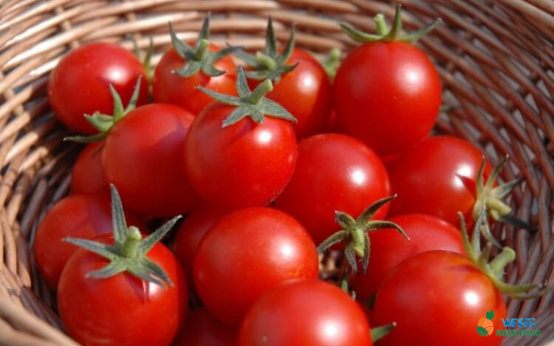 Sắp xếp cà chua đúng cách sẽ giúp cà chua lâu hỏng hơn
