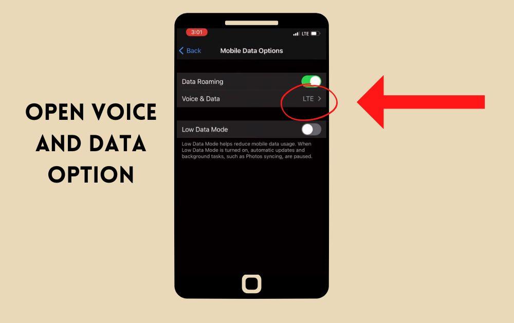 Open Voice And Data Options