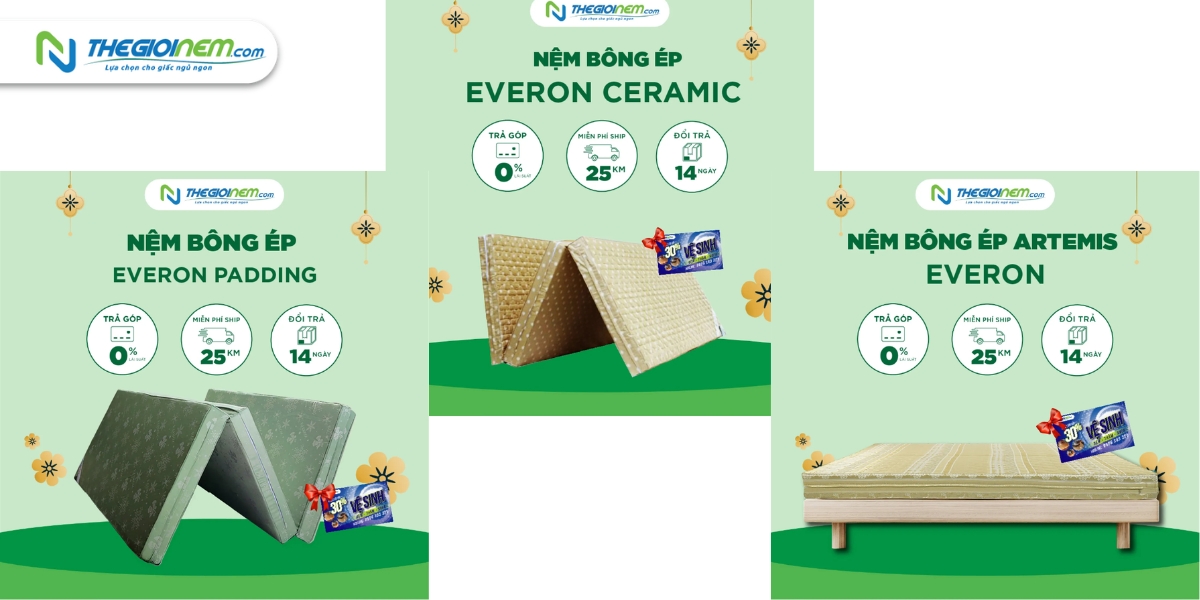 Đại Lý Nệm Everon Chính Hãng Giá Rẻ Tại Long An