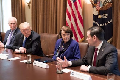 Senator Dianne Feinstein, from California (wearing the purple sweater and colorful scarf), is seen at a meeting with President Donald Trump and other Congressional Leaders.