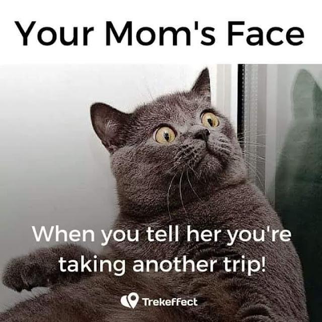 Travel funny memes