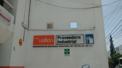 Tienda Vallen San Luis Potosí
