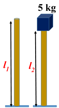 Elasticity Numericals Class 11 Physics