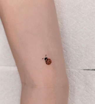 Lady Bug Tiny Tattoos Women Minimalist