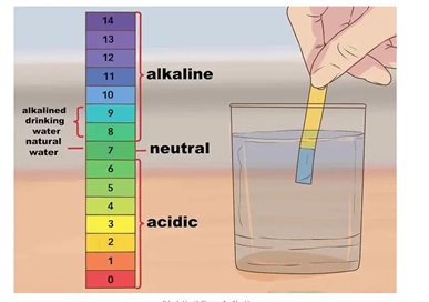 Các phương pháp kiểm tra độ pH của cơ thể