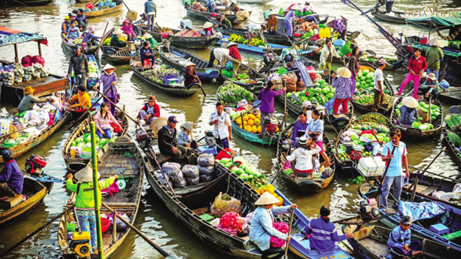 Tổng quan tỉnh Sóc Trăng