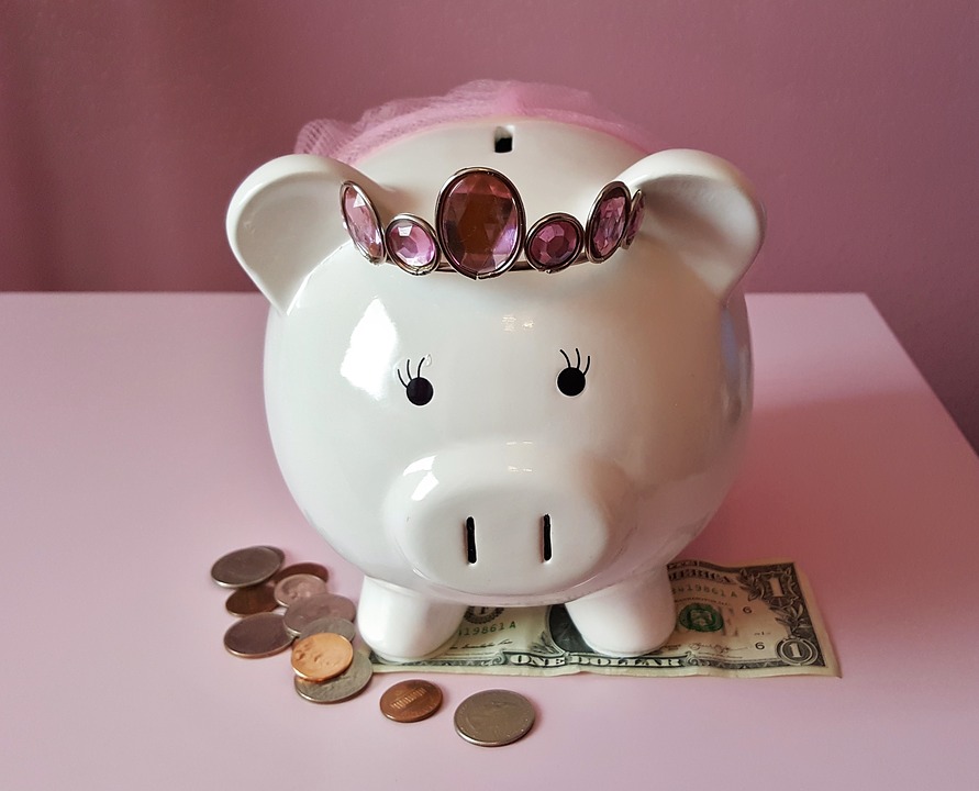 piggy-bank-1446874_960_720.jpg