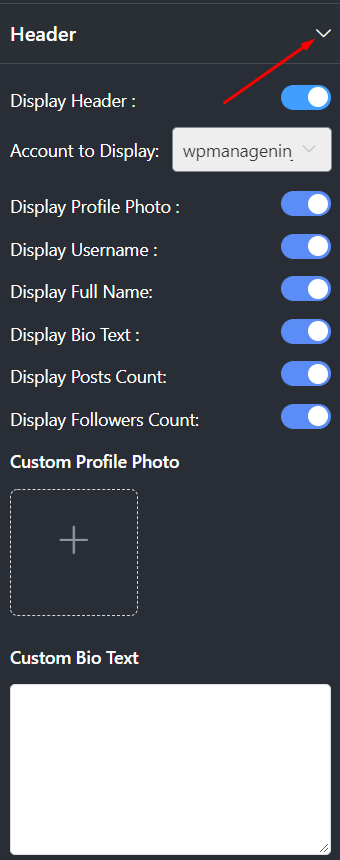 Header Instagram settings