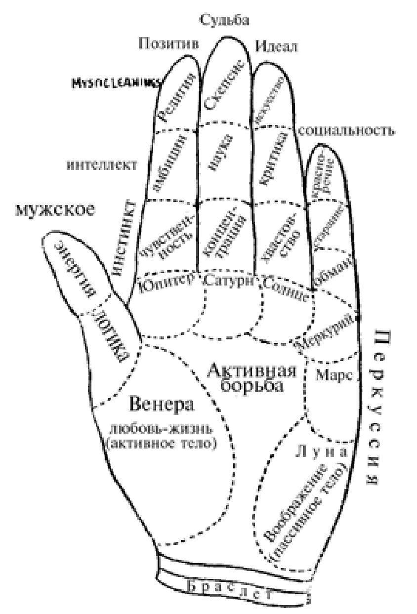 Пальцы в хиромантии. Схема ладони в хиромантии. Хиромантия линии на руке. Бугры на ладони хиромантия. Рука хиромантия схема.