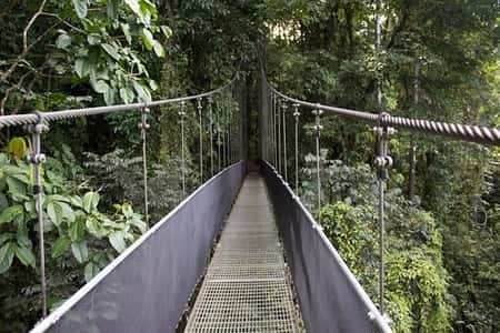 Costa Rica Hanging Bridge