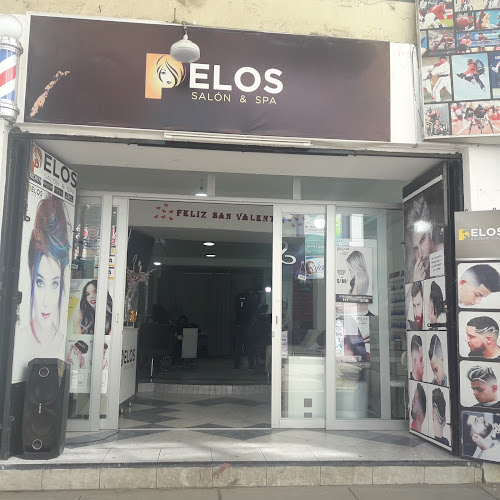 Pelo De Oso - Huancayo