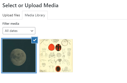 Upload media