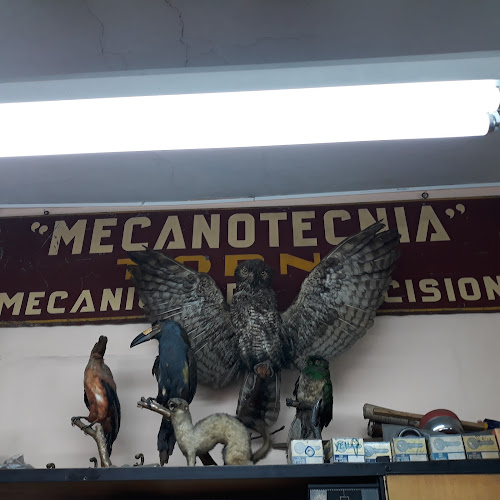 Opiniones de Mecanotecnia Mecanica Valencia en Quito - Cerrajería