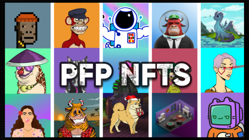 pfp nft là gì