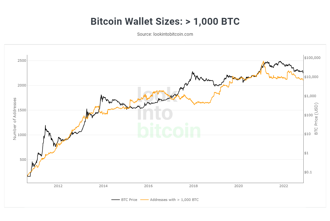 Look Into Bitcoin - Bitcoin Wallet Sizes _ 1,000 BTC.png