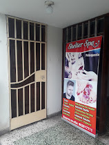 Shelter Spa Peluqueria