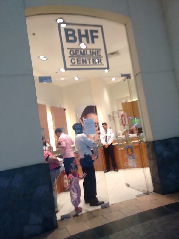 BHF GEMLINE SM