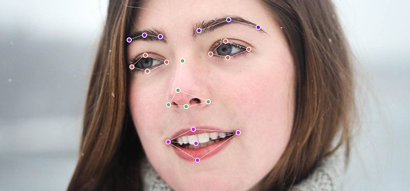 A face of a woman with point labels on different parts of her face.