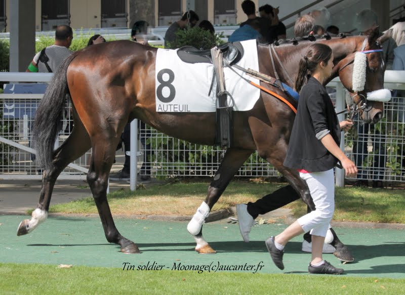 Photos Auteuil 7-06-2015 Journée Grande Course de Haies - Page 2 Qok2uWVRF15j9xMSnaXxVRv2Nn-_7fTuqRemgPJ_L8Yu=w800-h583-no